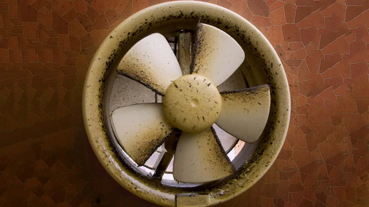 clean bathroom exhaust fan